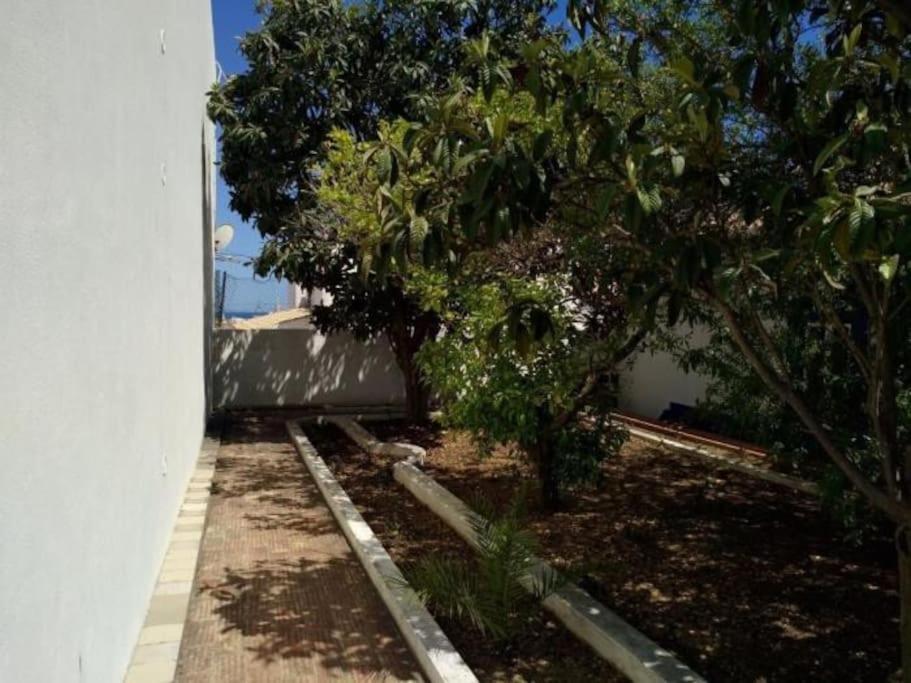 Villa Senhorial - Palace XIX & Privacy & Beach & Albufeira Old Town Luaran gambar
